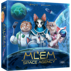 MLEM Space Agency