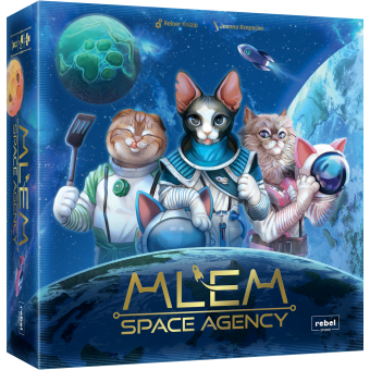 MLEM Space Agency